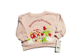 Strawberry Shortcake Pullover Sweatshirt Pink Size 12 Months - Picture 1 of 3