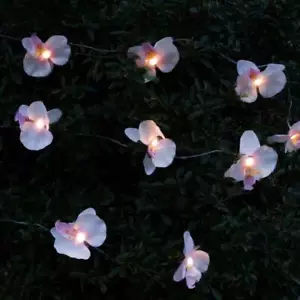 12 ORCHID FLOWER SOLAR LIGHT STRING PINK RED GARDEN DECORATION LED BLOSSOM LAMP - Picture 1 of 10