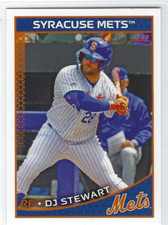 2023 Syracuse Mets (Triple-A New York Mets) DJ Stewart