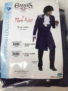 The purple artist Halloween costume charades  Large 42-48 includes wig - Picture 1 of 3