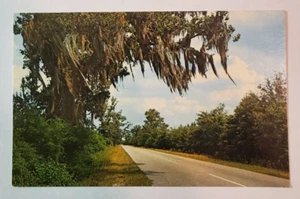 Scenic Road - Anytown, USA ~ Postkarte/unbespielt - Bild 1 von 8