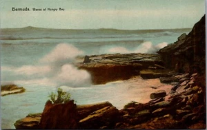 Postal de colección Bermuda Waves At Hungry Bay C279 - Imagen 1 de 2