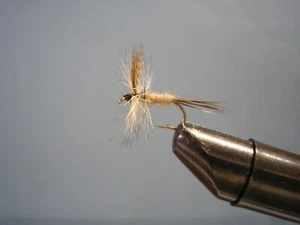 Dry Fly BROWN FROST #12,14,16 One of each size ( 3 - Pack ) - Photo 1 sur 1