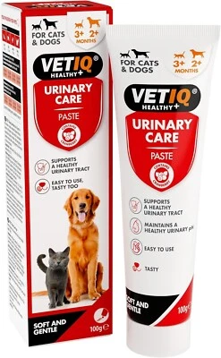 BRANDED VETIQ Urinary Care Paste 100g Dog And Cat Urinary Supplement