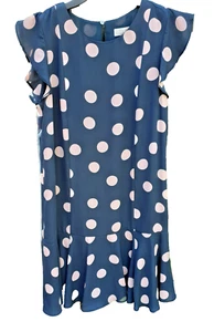 Loft Polka Dot Dress SZ Small Blue Pink Dots Lined Shift Short Sleeve Hook & Eye - Picture 1 of 14