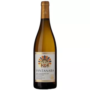 Vino bianco Roccamonfina Falanghina IGP "Vantanara" az.agr.San Teodoro - Foto 1 di 1