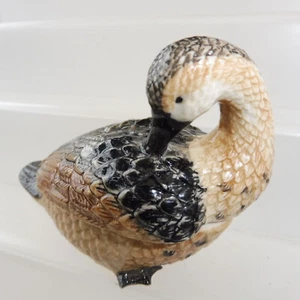 KLIMA K617 Boîte en porcelaine - CANARD COL VERT DUCK - Foto 1 di 4