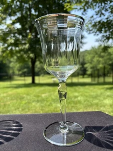 West Virginia Glass Platinum Trim Four Platinum Bands Panel Optic Water Goblet - Picture 1 of 7