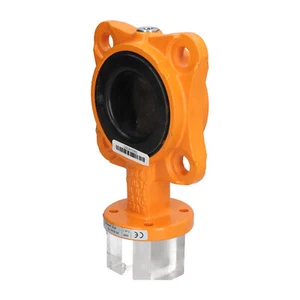 Wouter Witzel EVCS-DN65-PN16 Butterfly Valve Used UMP - Bild 1 von 8
