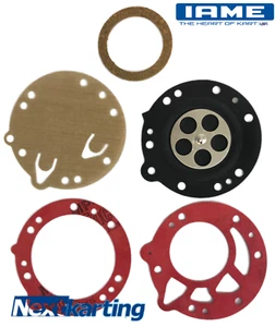   Iame X30 & Gazelle Carburettor Tillotson HW27A HW47 - DG 3-HW Carb Repair Kit - Picture 1 of 1