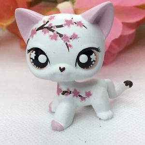 Cute Short Hair Cat, Mini Pet Toy, Hand Painted custom, with free accessories - Picture 1 of 4