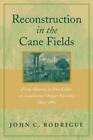 John C Rodrigue Reconstruction In The Cane Fields Poche