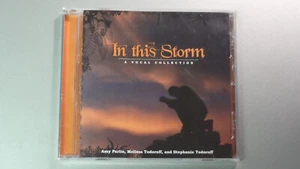In this Storm: A Vocal Collection (CD, 2008) - Picture 1 of 1