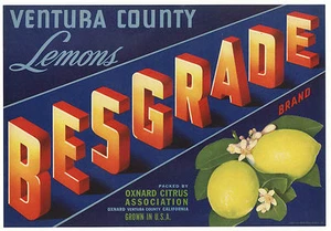 *Original* BESGRADE Oxnard VENTURA COUNTY Lemon Crate Label NOT A COPY! - Picture 1 of 1