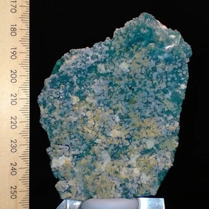 Ágata de uva calcedonia sobre matriz de celadonita espécimen mineral natural 538ct - Imagen 1 de 10