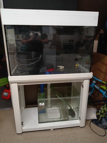 3ft fish tank With Stand | eBay UK