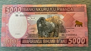 RWANDA 5000 franchi 2014, P-41, UNC Gorilla - Foto 1 di 2