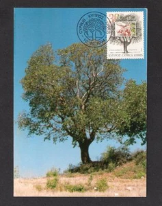 TREES OF CYPRUS STRAWBERRY TREE ARBUTUS ANDRACHNE 1994 MAXIMUM CARD MAXICARD - Picture 1 of 2