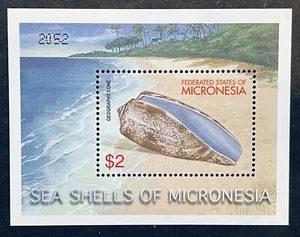 MICRONESIA SEA SHELLS STAMPS S/S 2001 MNH GEOGRAPHY CONE MARINE LIFE SEASHELLS - Picture 1 of 1