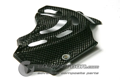 COPRIPIGNONE CARBONIO DUCATI MONSTER 696 796 1100 1100S 1100EVO - Изображение 1 из 3