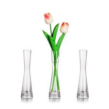Clear Glass Bud Flower Vase Set of 3  Modern Small Skinny Vases for