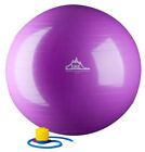 2000lbs Static Strength Exercise Stability Ball with Pump 45cm (Purple)