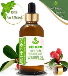 Pure Herbs wintergreen 100% Pure & Natural Gaultheria procumbens Essential Oil - Picture 1 of 8