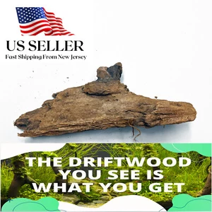 NATURAL MANGROVE DRIFTWOOD #110a WYSIWYG - AQUASCAPING, SUPER PRICE!! DECORATION - Picture 1 of 6