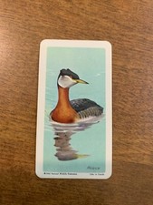 BROOKE BOND RED ROSE TEA CARDS - SERIES 4 - BIRDS OF NORTH AMERICA