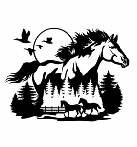 Horse sticker decal for 4x4 , window, tailgate, horse float trailer - Picture 1 of 2