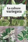 La Culture Variegata: La Monstera Variegata Et Les Plantes Rares Avec Variations