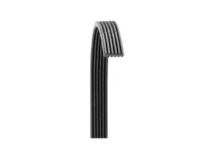 For 2007-2010 Volkswagen Golf City Multi Rib Belt Dayco 68956PXZG 2008 2009 - Picture 1 of 2
