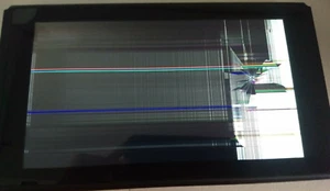Nintendo Switch Lite LCD Repair - Picture 1 of 2