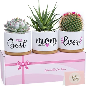 Regali per La Mamma, Festa Della Mamma, Regalo Di Compleanno per Mamma Da Figlia - Foto 1 di 12
