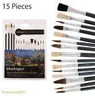 15 Piece Artist Paint Brush Set Brushes Flat & Tipped Different Size and Lengths