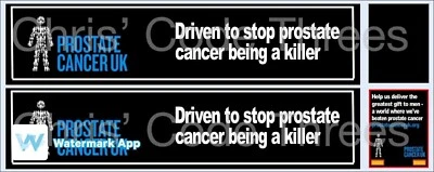 Code 3 Adhesive Vinyl Trailer Decal - Prostate Cancer - 1/50 1/76 1/148 1/87 - Image 1 of 2