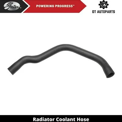 Manguera de refrigerante de radiador para Pontiac Firebird 1978-1981 puertas superiores 1979 1980 Foto 1 de 4