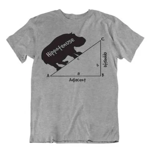 T-Shirt Geometrie Hippotenuse Dreieck Mathematik Comic Witz T-Shirt Geometrie Mathe - Bild 1 von 8