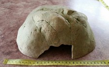 Exo Terra Reptile Hide