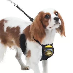 Sporn Nylon Mesh Non-Pulling Dog Harness, Black, S (8"-14" Chest, 9”-12” Neck) - Picture 1 of 6
