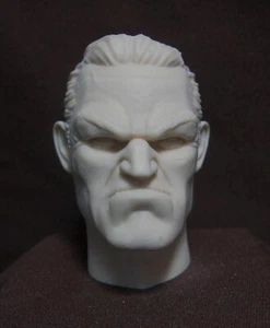 E# PUNISHER "COMIC" CUSTOM RESIN UNPAINTED HEAD SCULPT. Action figures 1/6 scale - Imagen 1 de 3