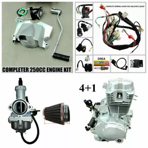 250cc ZongShen ATV Engine 4+1 Reverse Gear Quad Bike Buggy Motor go kart mower - Picture 1 of 11