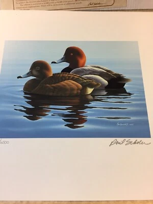 Minnesota Duck Print, Phil Scholar, 1982,Signed Stamp, Unframed.Mint # 318/6500 - Image 1 of 4