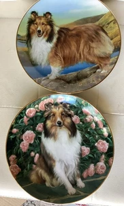 2 Plates “Shetland Sheepdogs”by Edward Aldrich Summer Outing & Floral Portrait - Picture 1 of 8