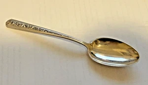 "Spring Glory" Tea Spoon-6" International Sterling - Picture 1 of 5