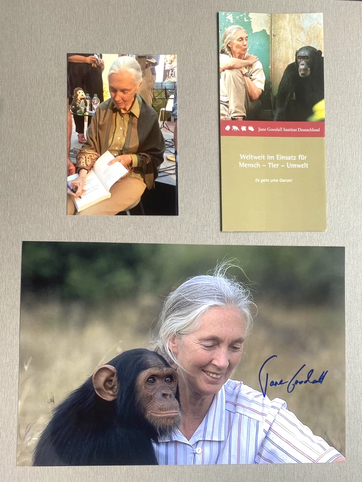 JANE GOODALL (†2025) Verhaltensforscherin In-person Foto 20x30 Autogramm + Foto - Bild 1 von 1