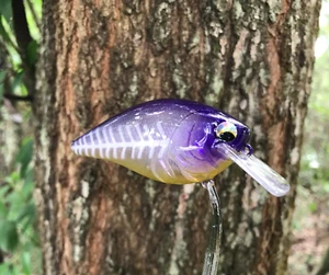 SPEEDBAITS Custom Airbrushed LC 2.5 Squarebill Crankbait - Picture 1 of 9