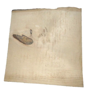 PORT ORFORD WHITE CEDAR SLAB CRAFTING TURNING WOODWORKING APPROX 12x12x2 IN - Picture 1 of 3