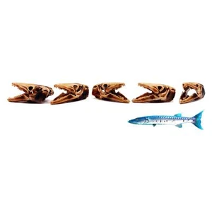 Barracuda Schädel Replik - Fischdiorama im Maßstab 1:12, Puppenhaus Miniaturen Kuriositäten - Bild 1 von 6