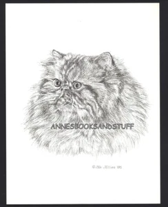 #394 Peke nosed PERSIAN face left CAT print * Pen & ink drawing by Jan Jellins - Picture 1 of 1